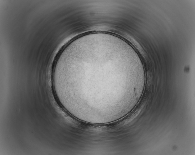 X0000101210939200807251046