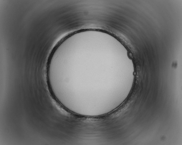 X0000101210942200807251046