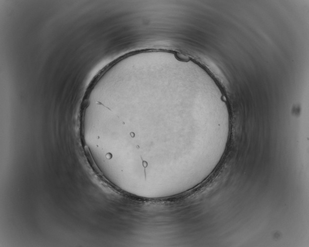 X0000101210944200807251046