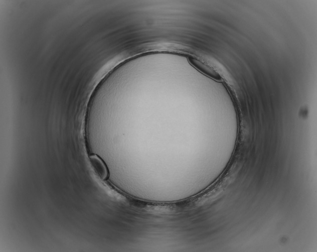 X0000101210946200807251046