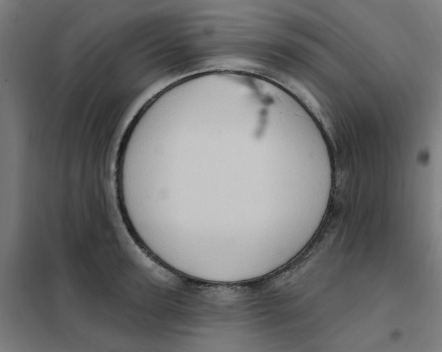 X0000101210947200807251046