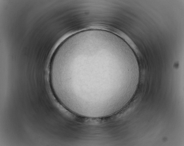 X0000101210955200807251046