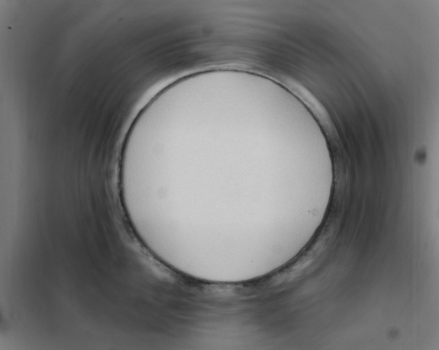 X0000101210956200807251046