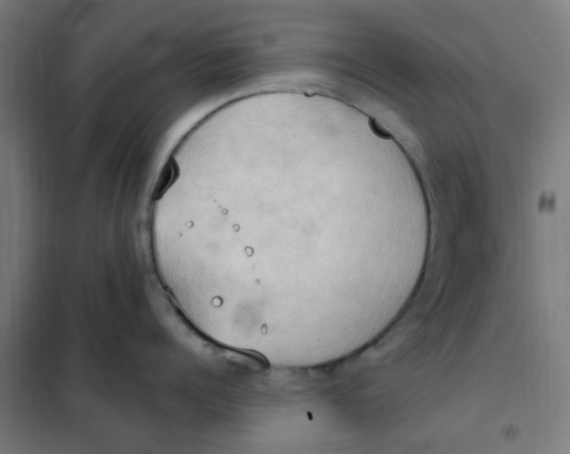 X0000101210960200807251046