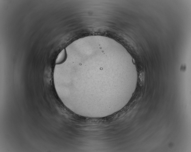 X0000101210963200807251045