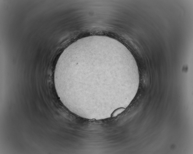 X0000101210964200807251045