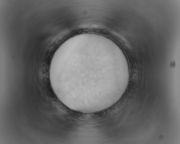 X0000101210966200807251045