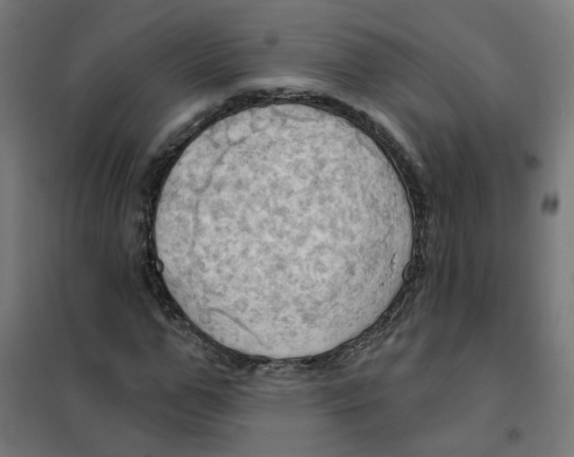 X0000101210967200807251045