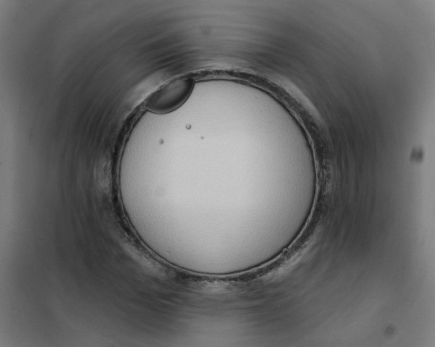 X0000101210969200807251045