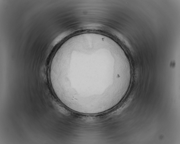 X0000101210970200807251045