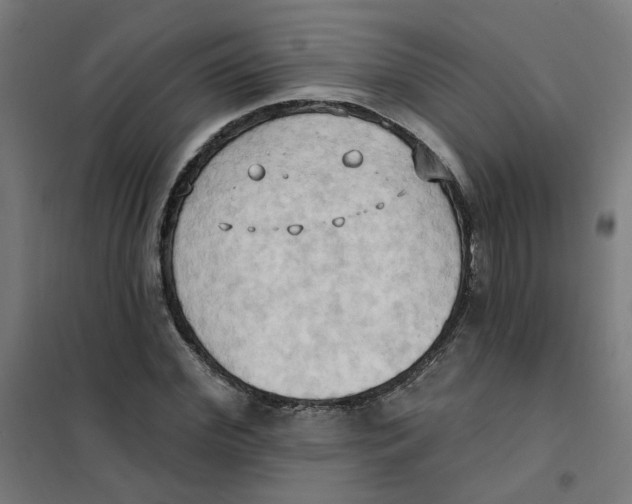 X0000101210972200807251045