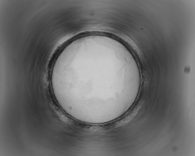 X0000101210974200807251045