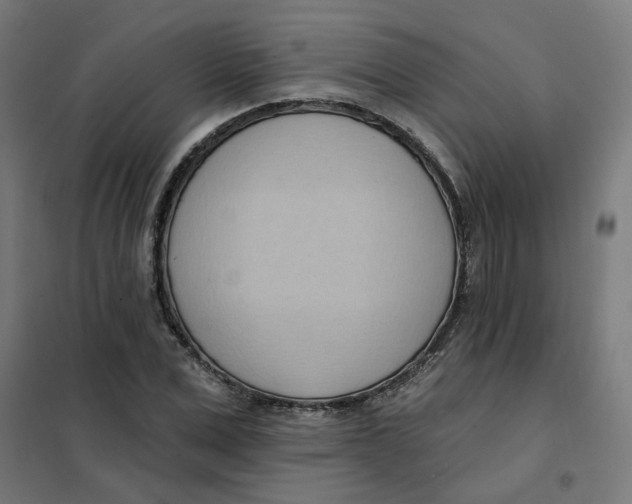 X0000101210975200807251045