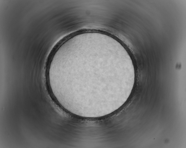 X0000101210976200807251045