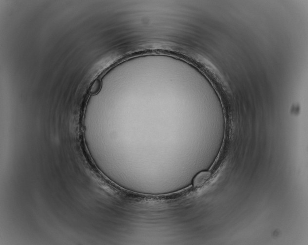 X0000101210977200807251045