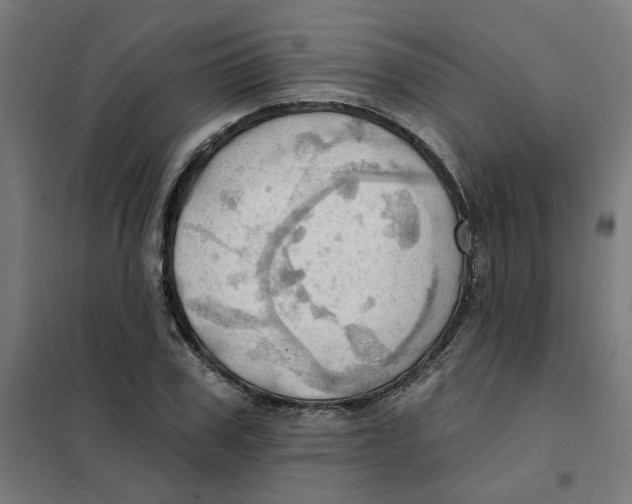 X0000101210979200807251045