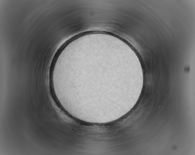 X0000101210980200807251045