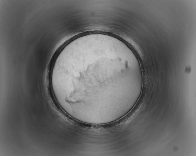 X0000101210983200807251045