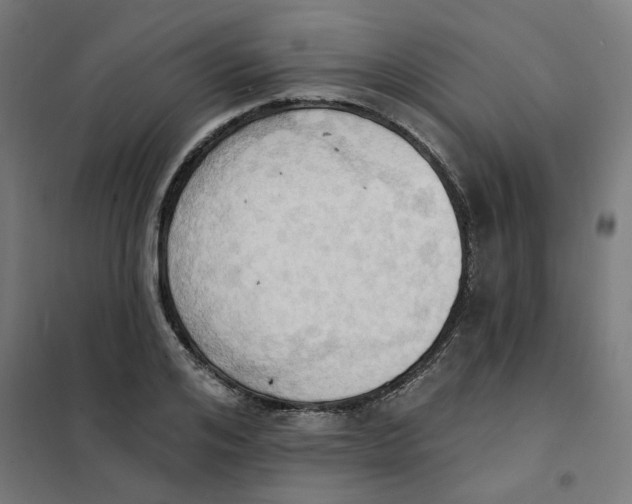 X0000101210984200807251045