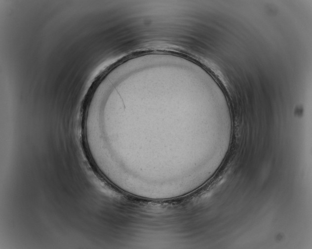 X0000101210987200807251045