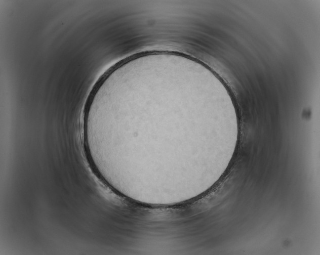 X0000101210988200807251045