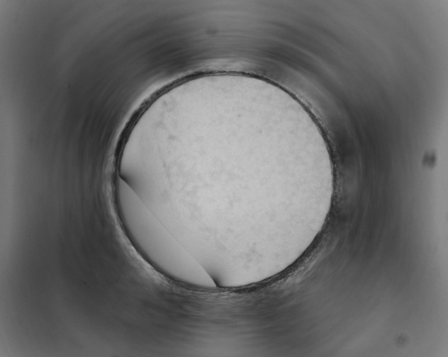 X0000101210992200807251045