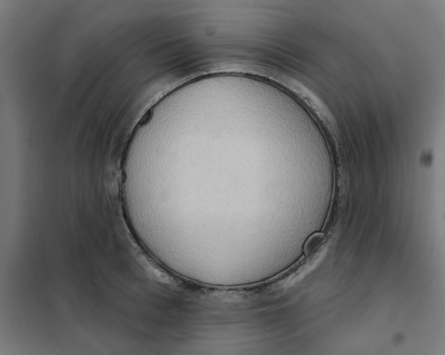 X0000101210993200807251045