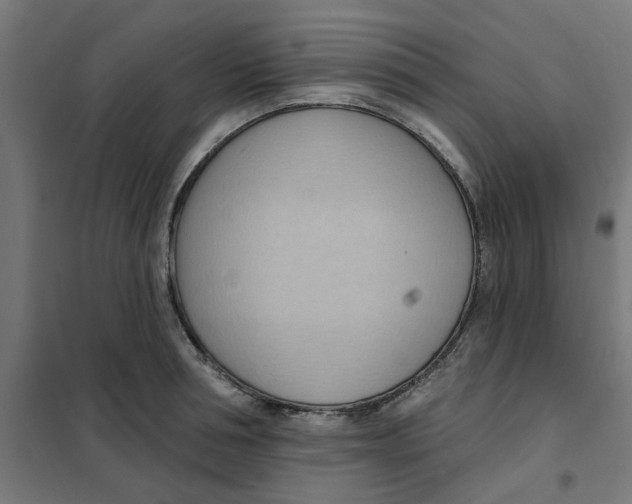 X0000101210994200807251045