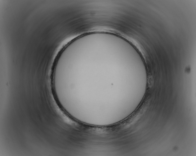 X0000101210995200807251045