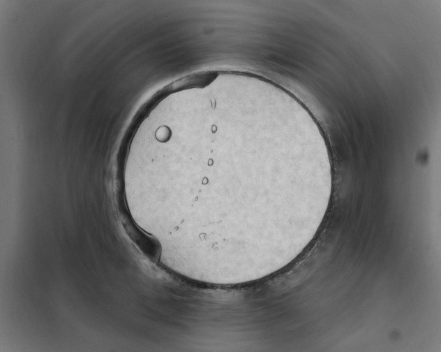 X0000101210996200807251045