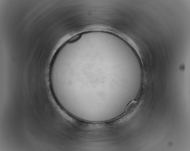 X0000101210997200807251045