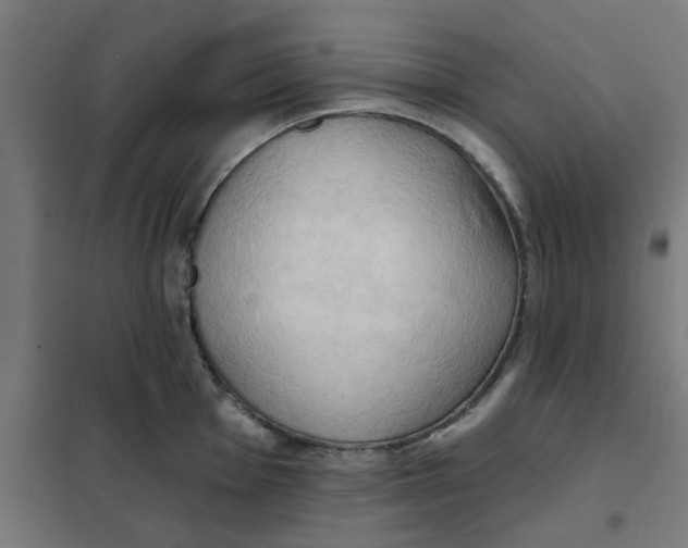 X0000101211001200807251045