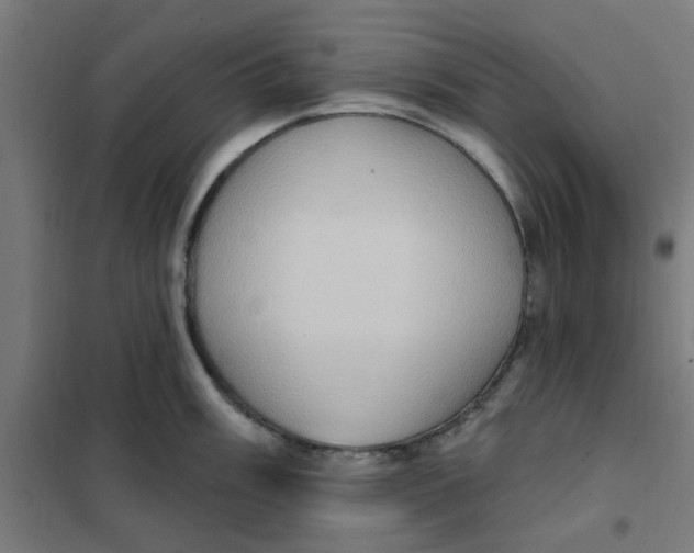 X0000101211003200807251045