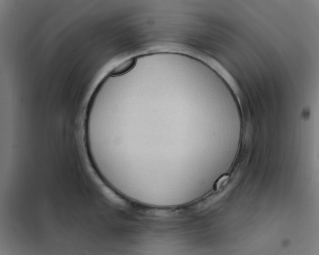 X0000101211005200807251045