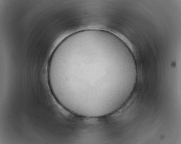 X0000101211006200807251045