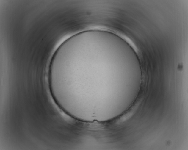 X0000101211007200807251045