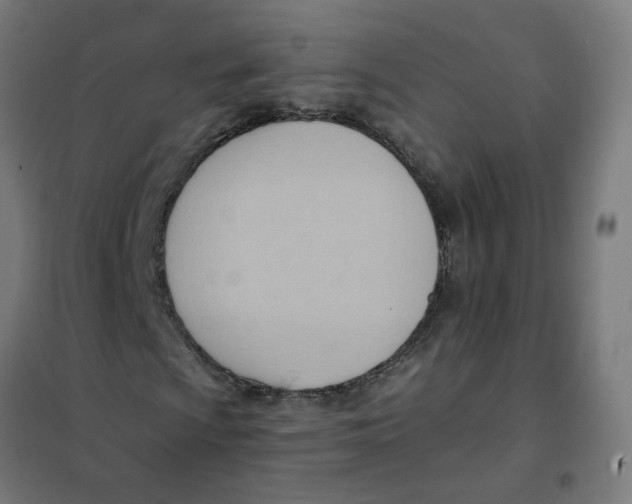 X0000101211009200807251044