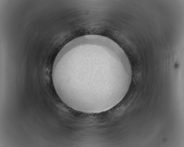 X0000101211010200807251044