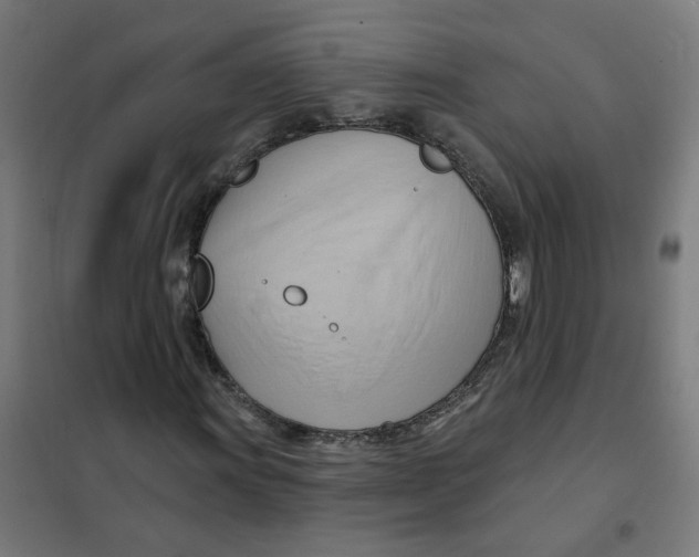 X0000101211011200807251044