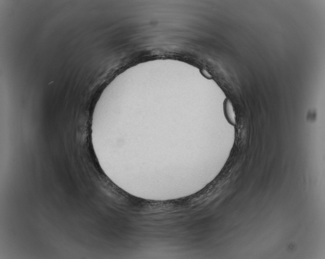 X0000101211012200807251044