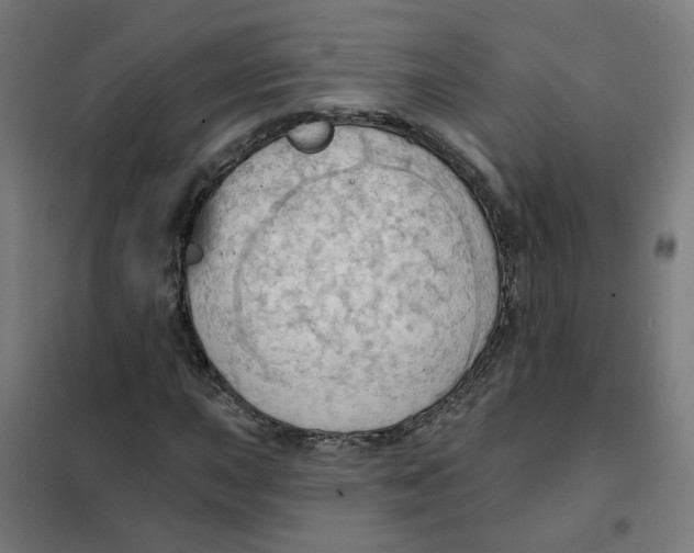 X0000101211015200807251044