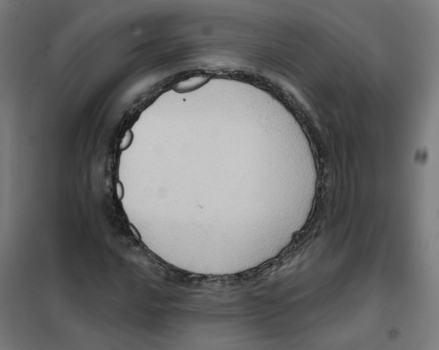 X0000101211016200807251044