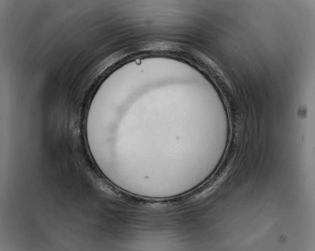 X0000101211017200807251044