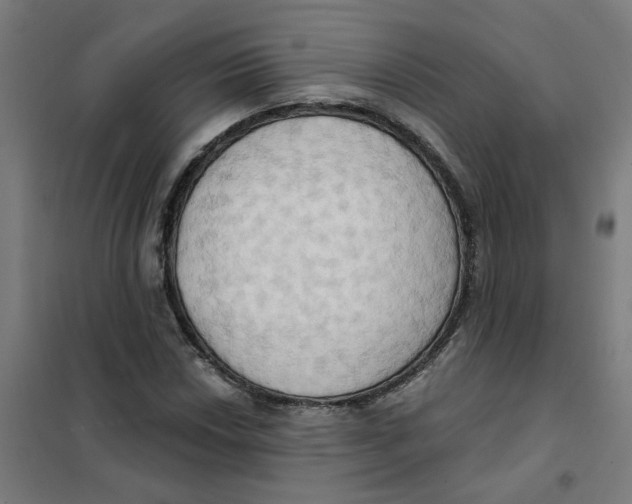 X0000101211018200807251044