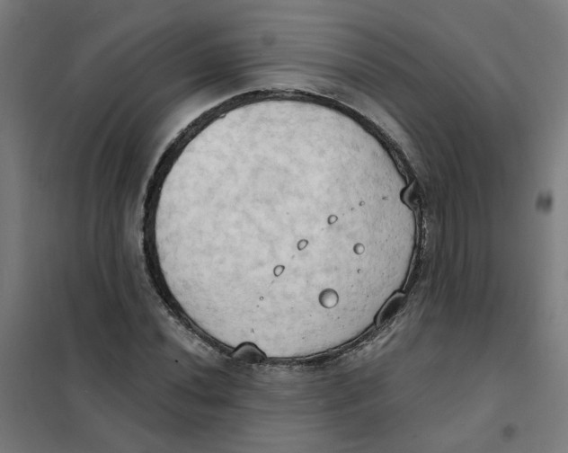 X0000101211020200807251044