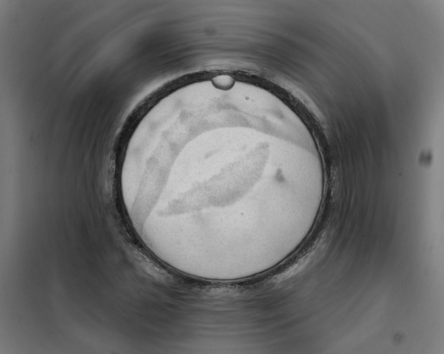 X0000101211021200807251044