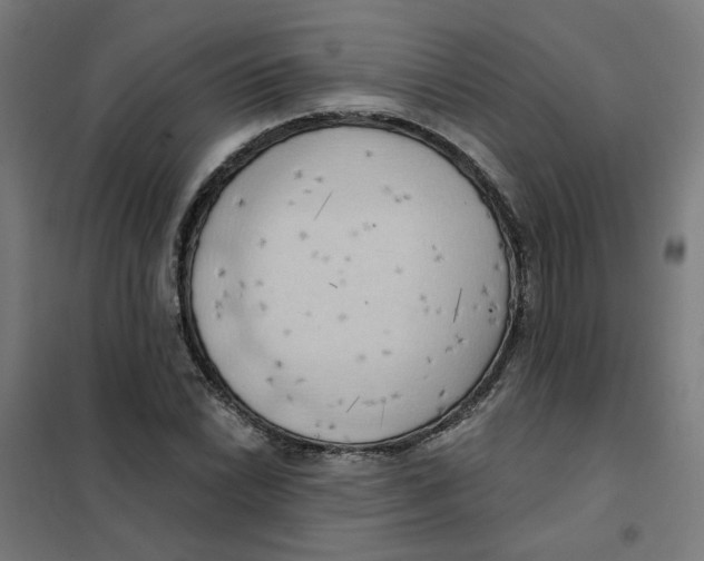 X0000101211022200807251044