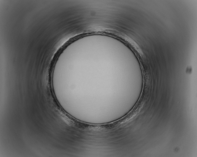 X0000101211023200807251044