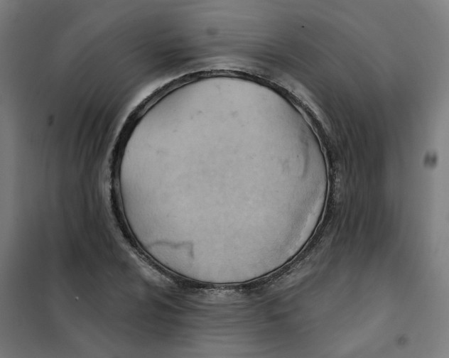 X0000101211024200807251044