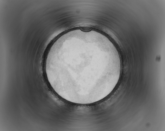 X0000101211026200807251044